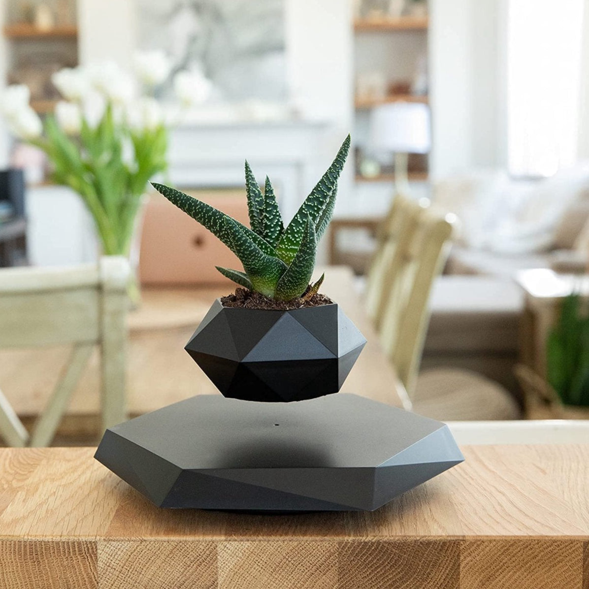 Levitating Planter