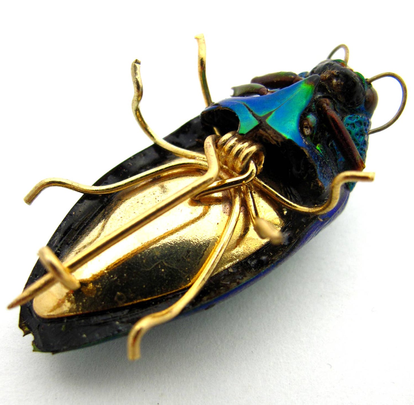 Real Emerald Beetle Pin