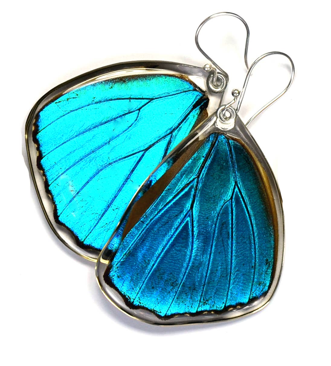 Real Butterfly Wing Earrings, Blue Morpho Menelaus
