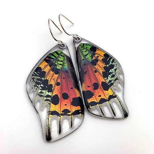 Real Sunset Moth Wing Earrings, Bottom wing