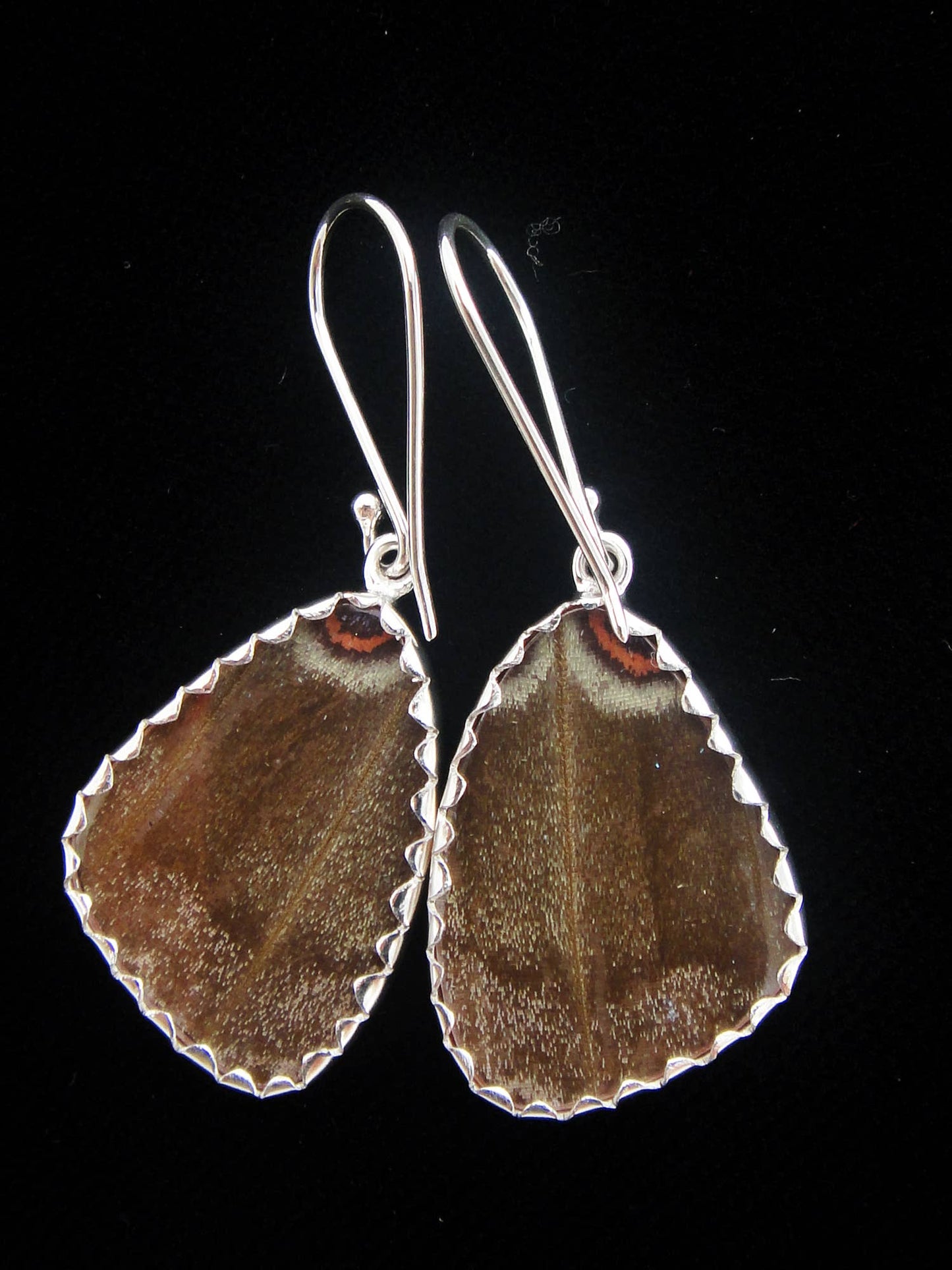 Real Butterfly Wing Earrings - Blue Morpho, Small