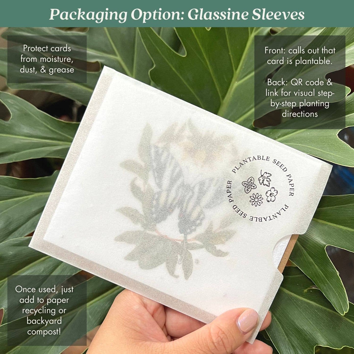 Moon Phase Birthday Plantable Herb Seed Card