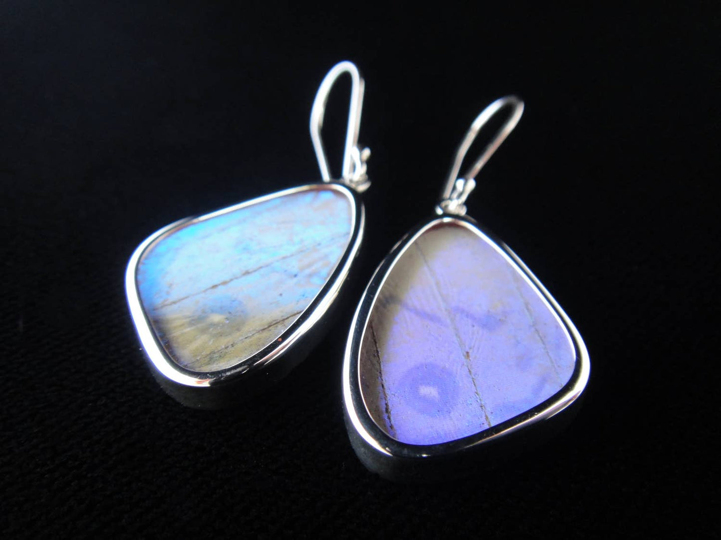 Real butterfly wing earrings: "Pearl Blue", small