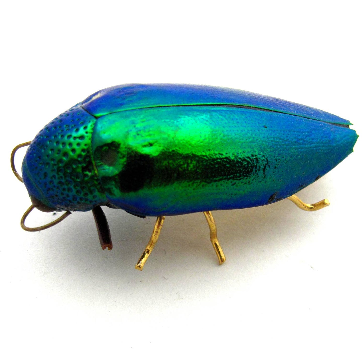 Real Emerald Beetle Pin