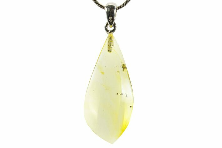 Baltic Amber Pendant with A Fly
