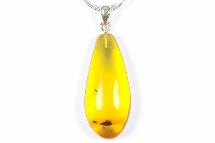 Baltic Amber Pendant with A Fly