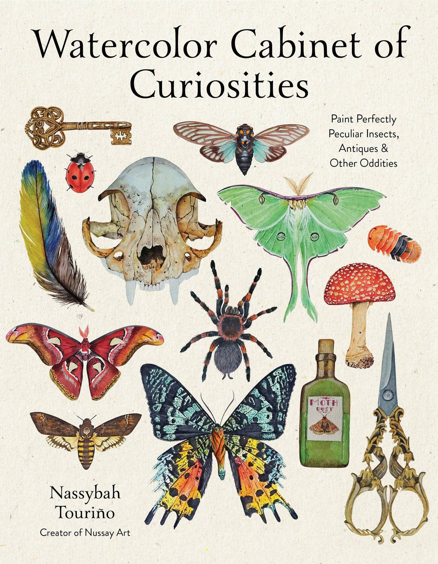 Watercolor Cabinet Of Curiosities: Insects & Oddities