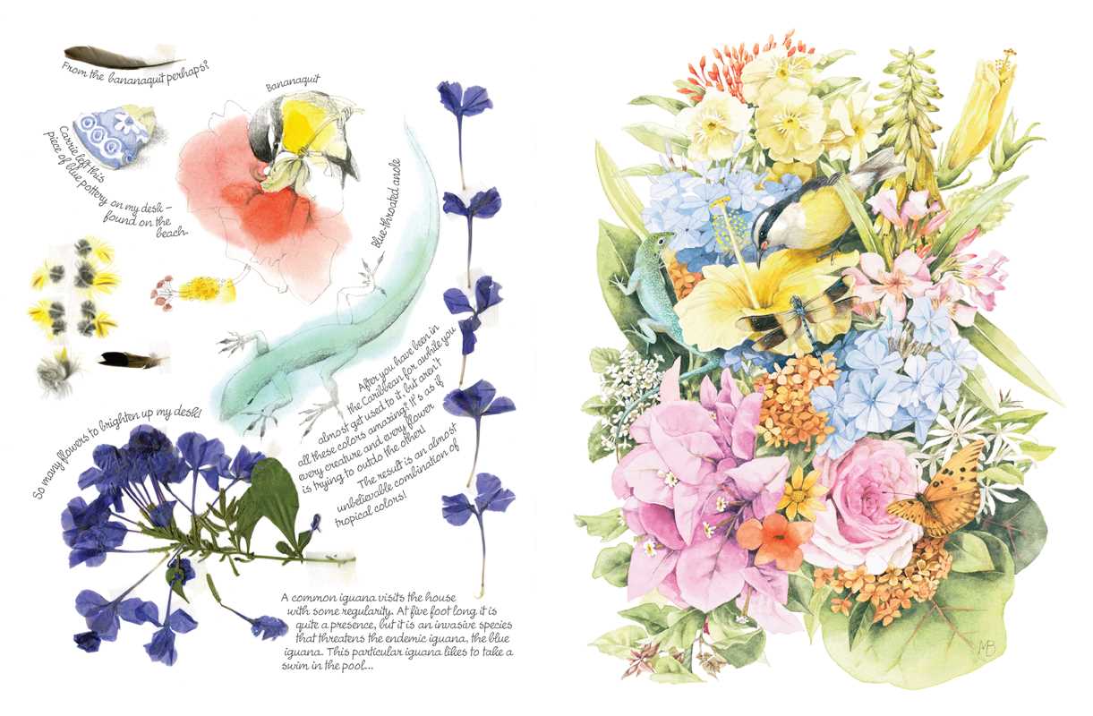 Inspired by Nature Sketchbook by Marjolein Bastin