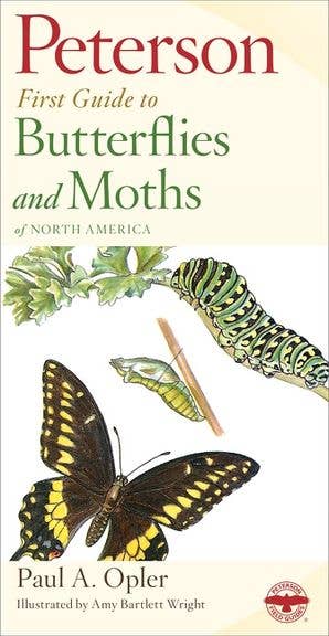 Peterson First Guide to Butterflies and Moths: Paul A. Opler