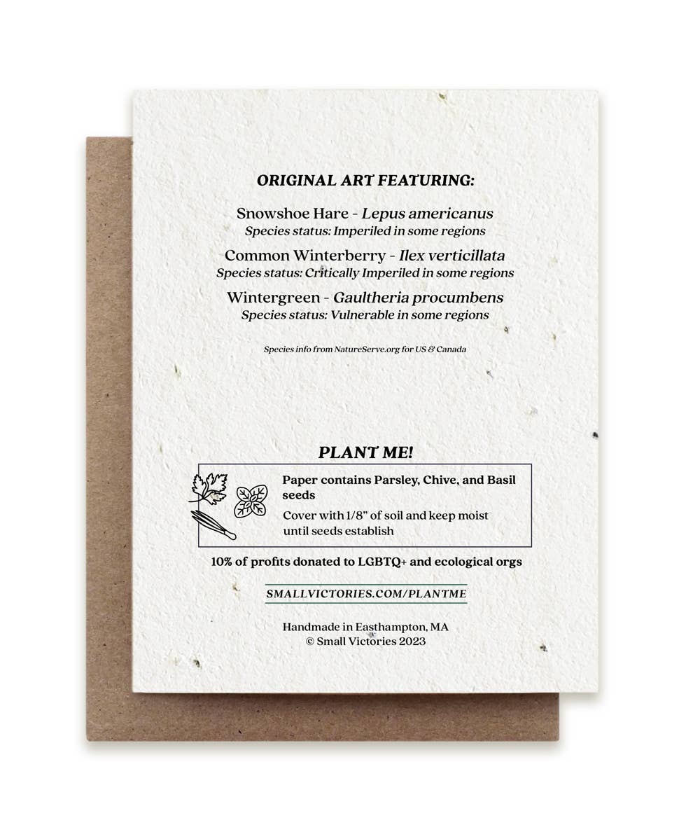 Season's Greetings Snowshoe Hare Plantable Herb Seed Card