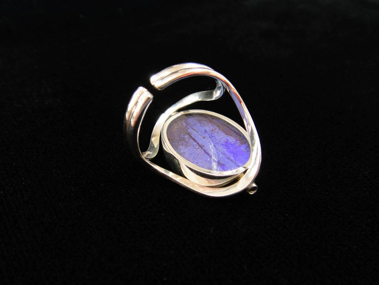 Real Butterfly Reversible Blue Morpho/Sunset Oval Ring (adjustable)