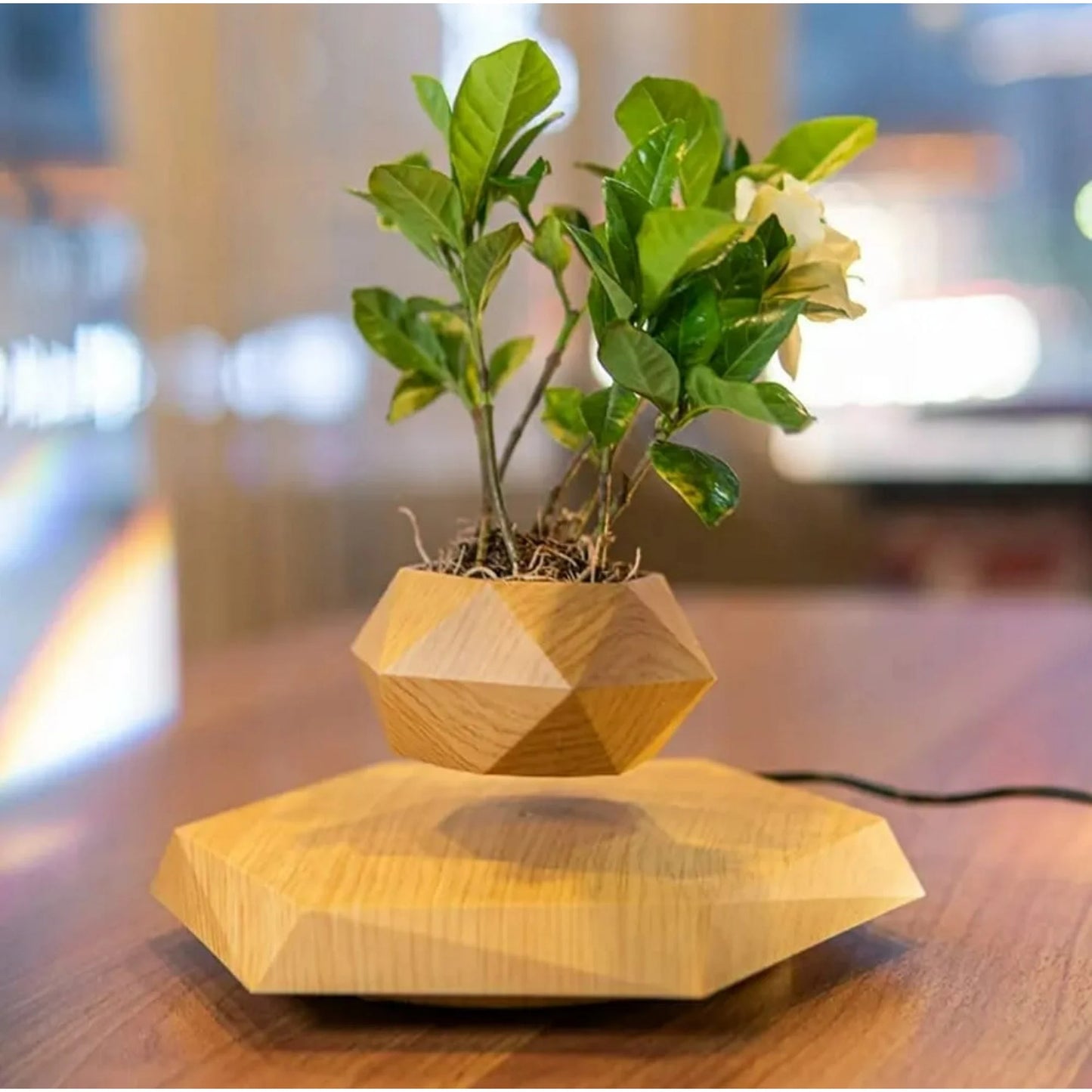 Levitating Planter