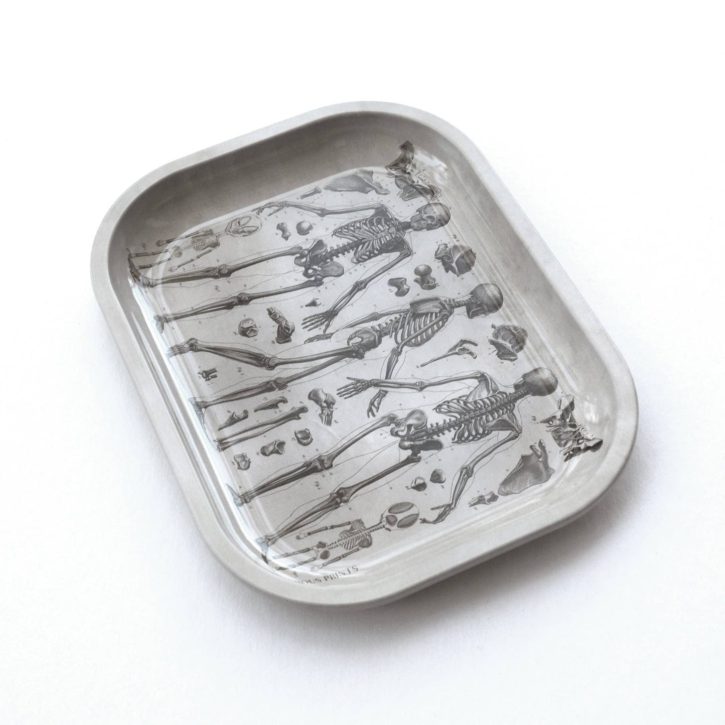 Small Metal Skeleton Diagram Trinket Tray
