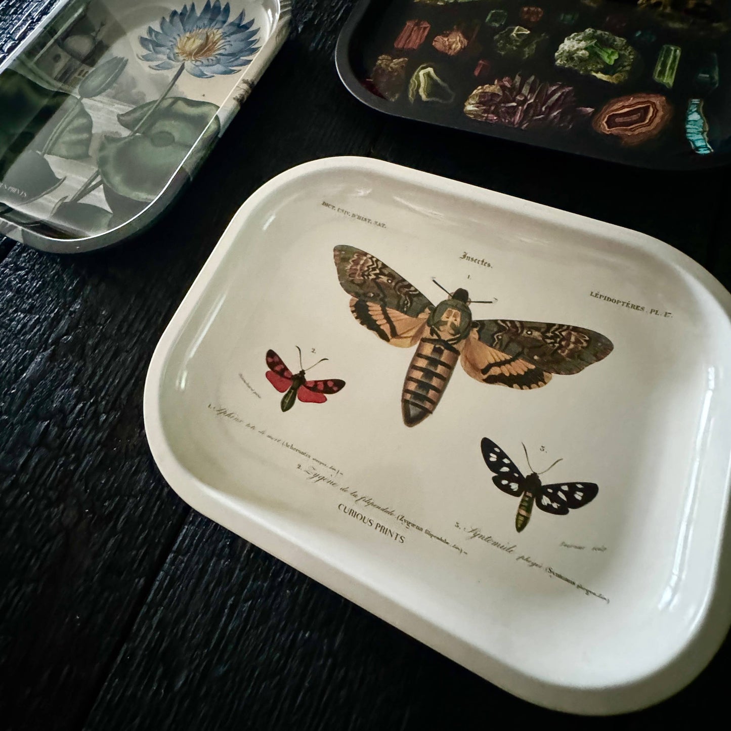 Small Metal Death's Head Moth Trinket Tray