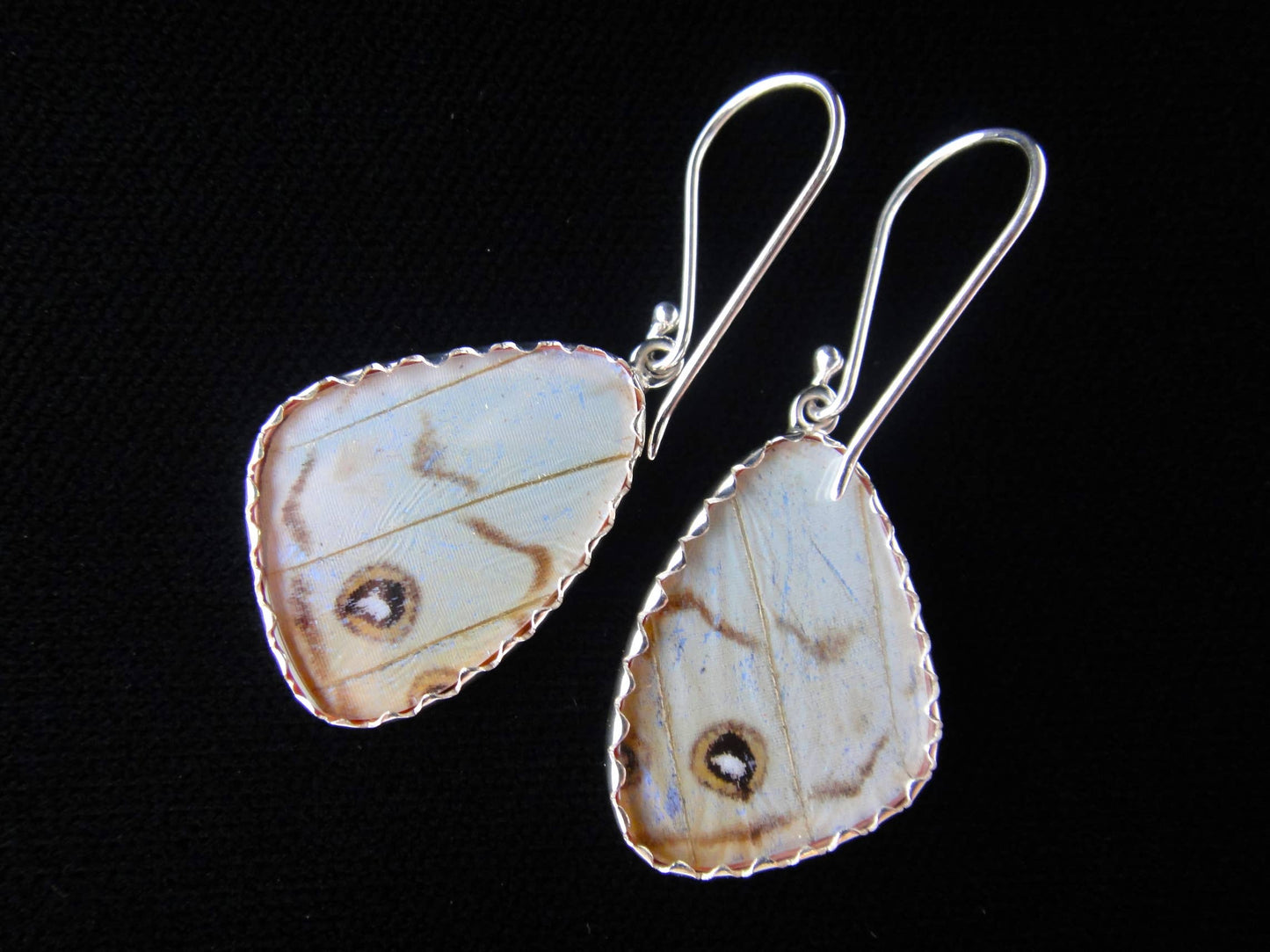 Real butterfly wing earrings: "Pearl Blue", small