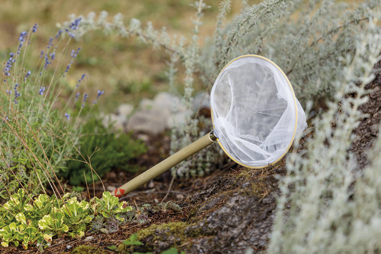 Beetle & Bee Butterfly Net for Outdoor Play