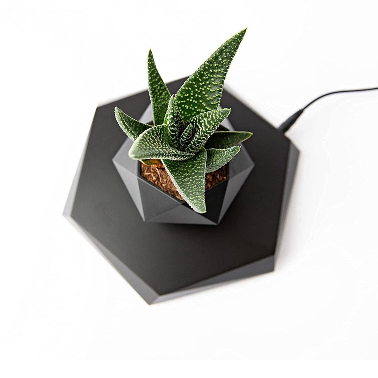 Levitating Planter