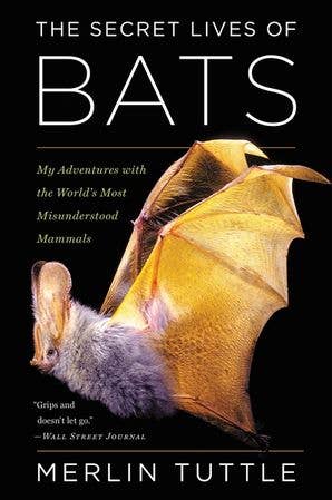 Secret Lives of Bats, The: Merlin Tuttle