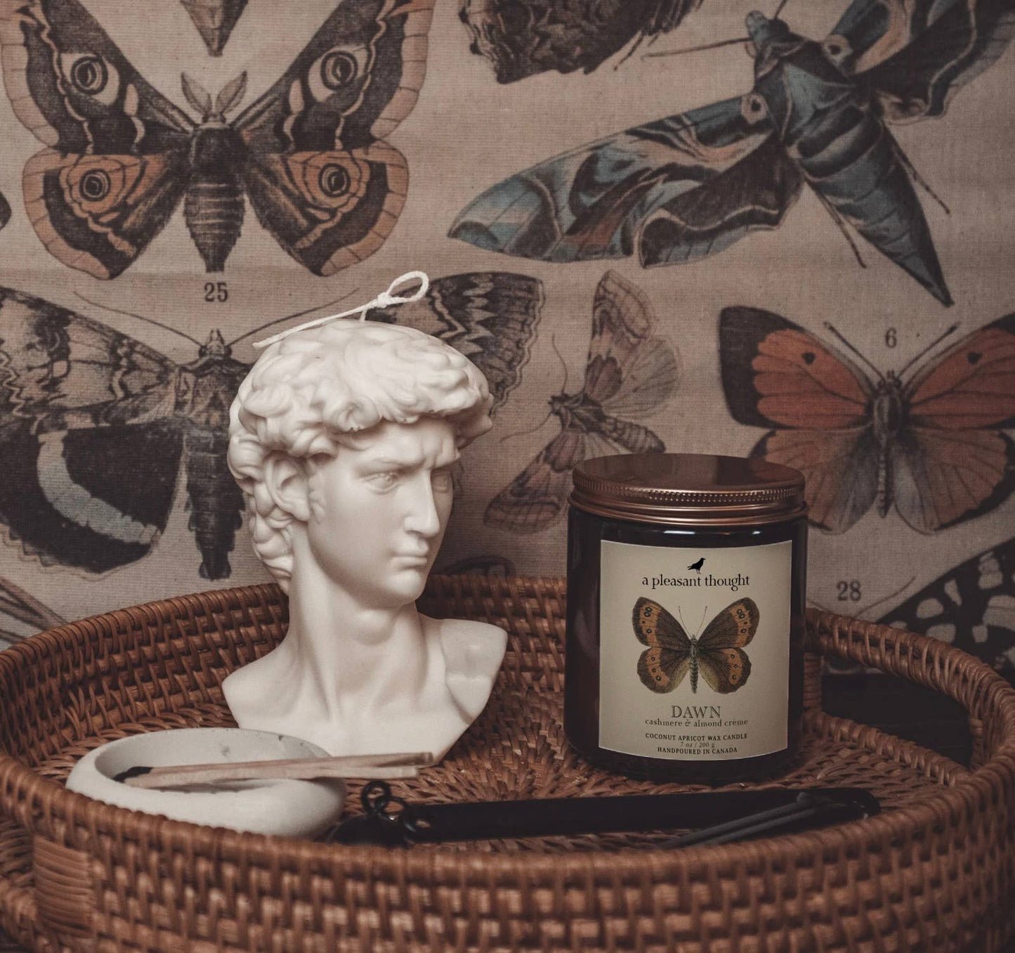 Surya Jar Candle (Amber and Wild Figs)