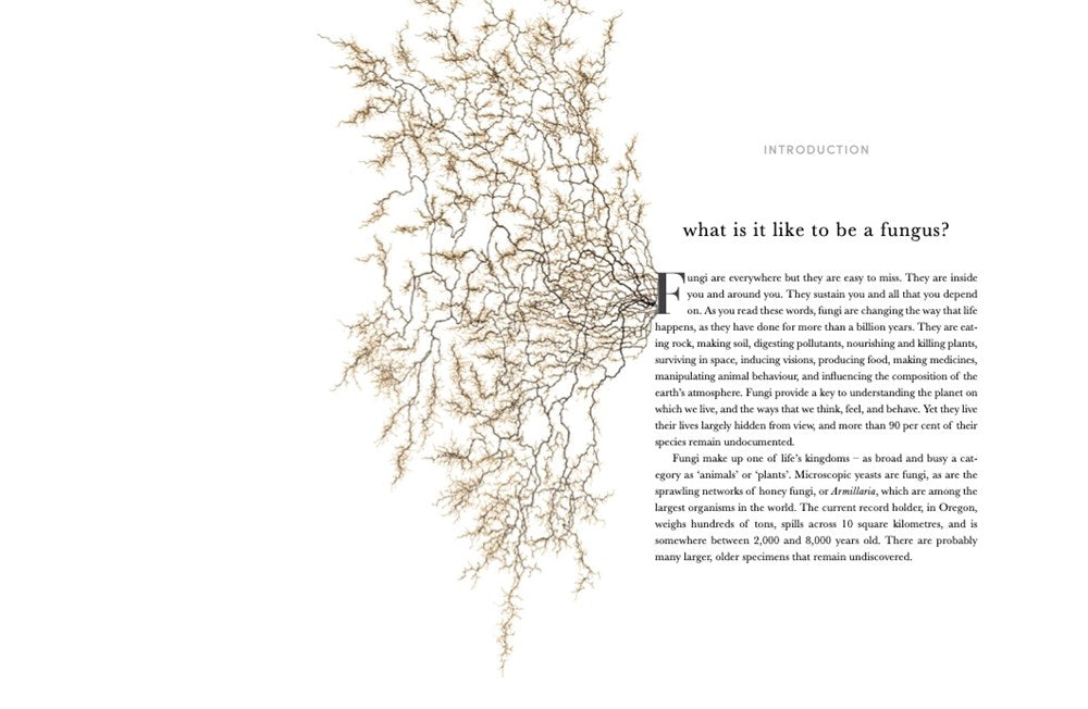 Entangled Life: Illustrated