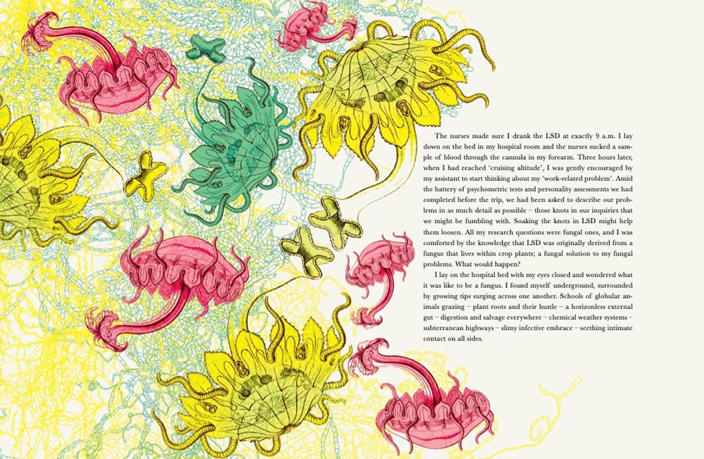 Entangled Life: Illustrated