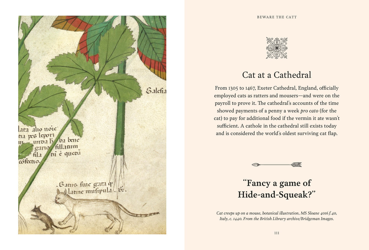 Medieval Cats