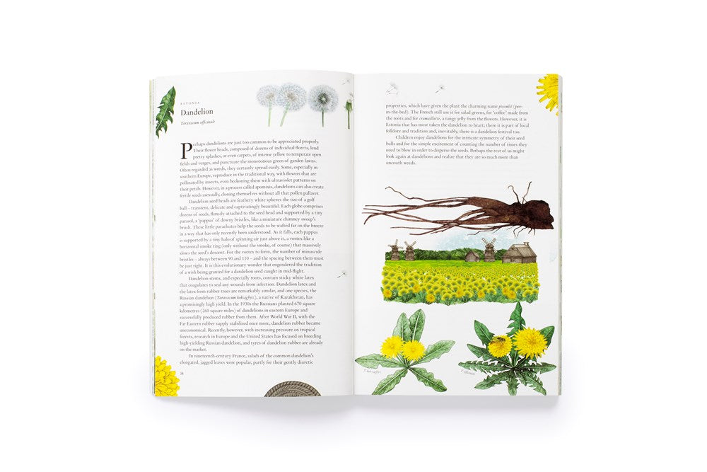Around the World in 80 Plants