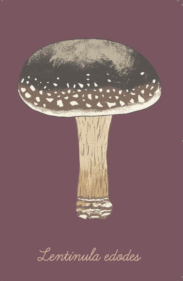 The Mushroom Compendium