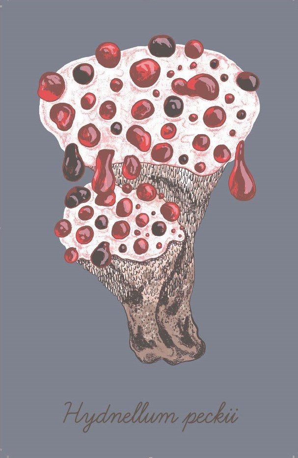 The Mushroom Compendium