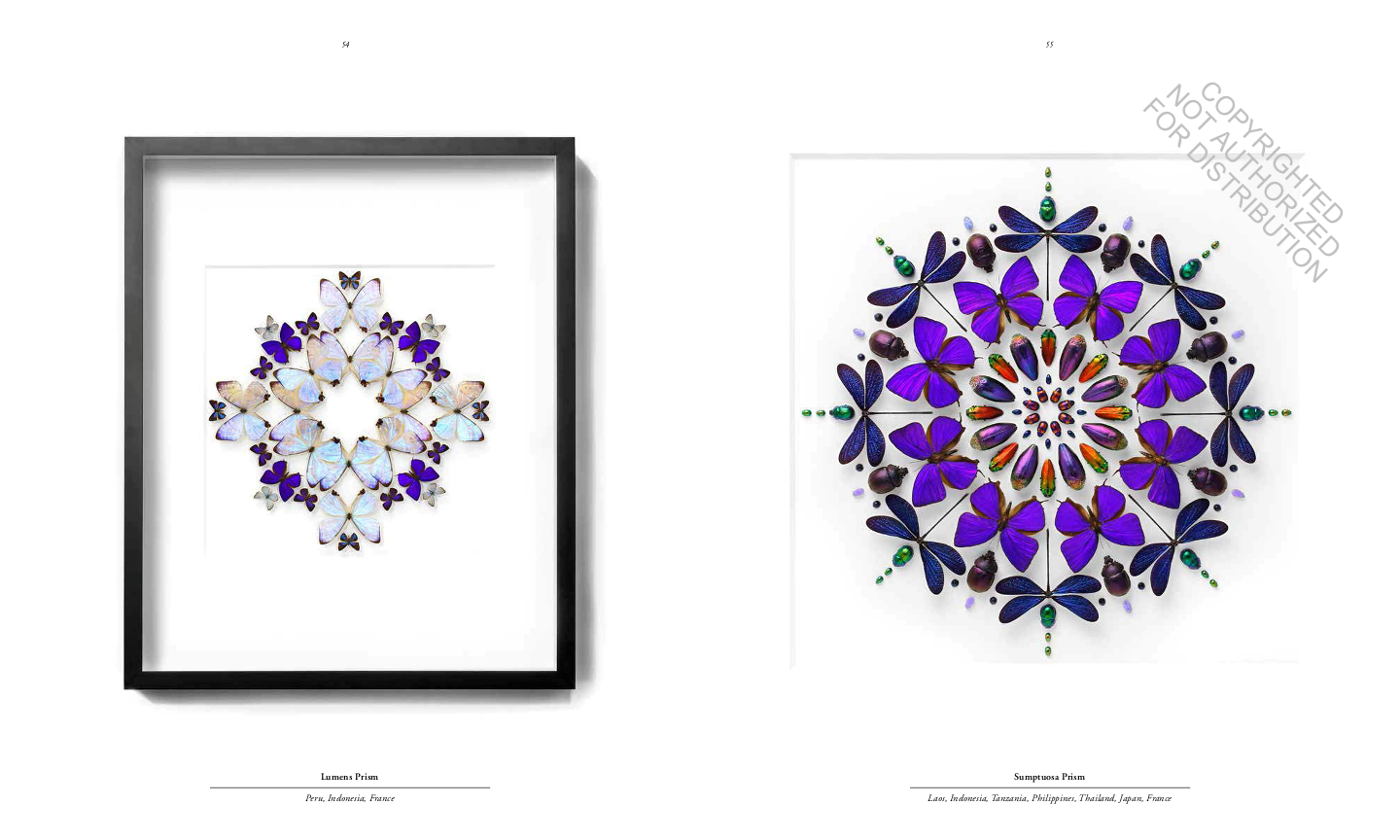 Biophilia: Christopher Marley's Art of Nature