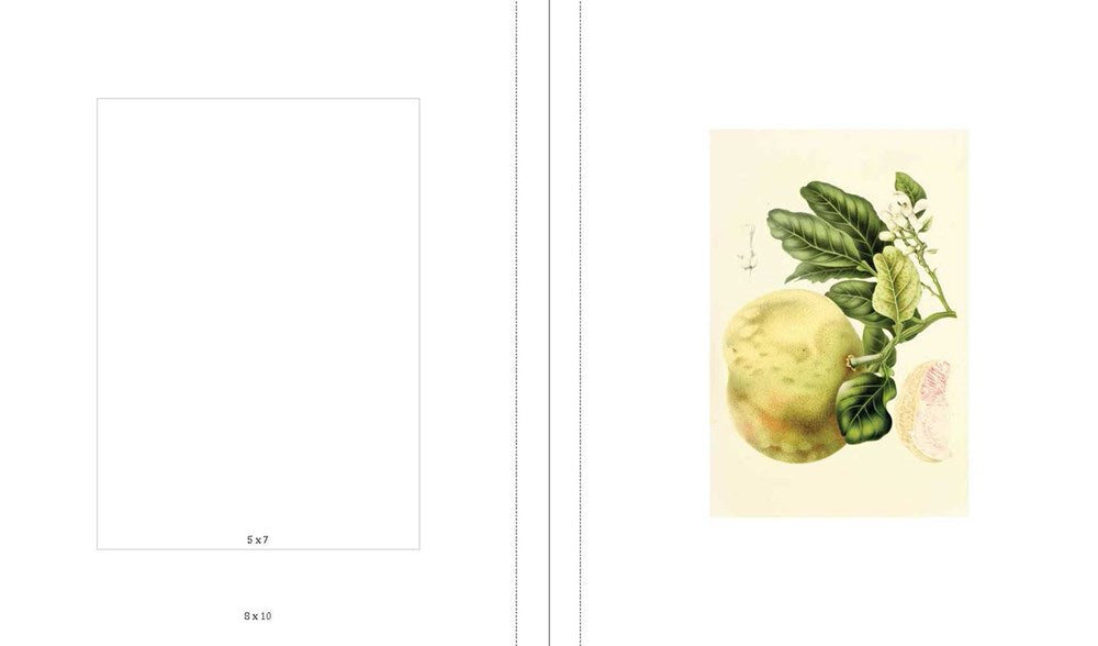 Instant Wall Art - Vibrant Botanical Prints