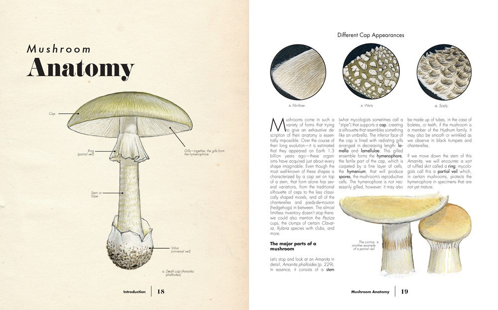 Ultimate Guide to Mushrooms