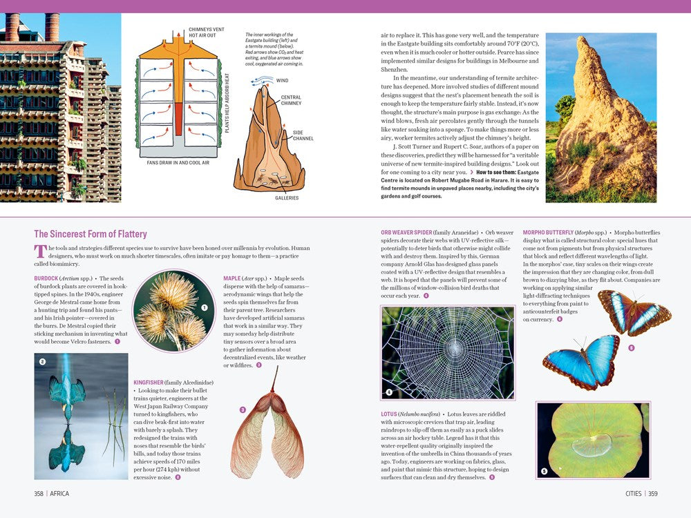 Atlas Obscura: Wild Life