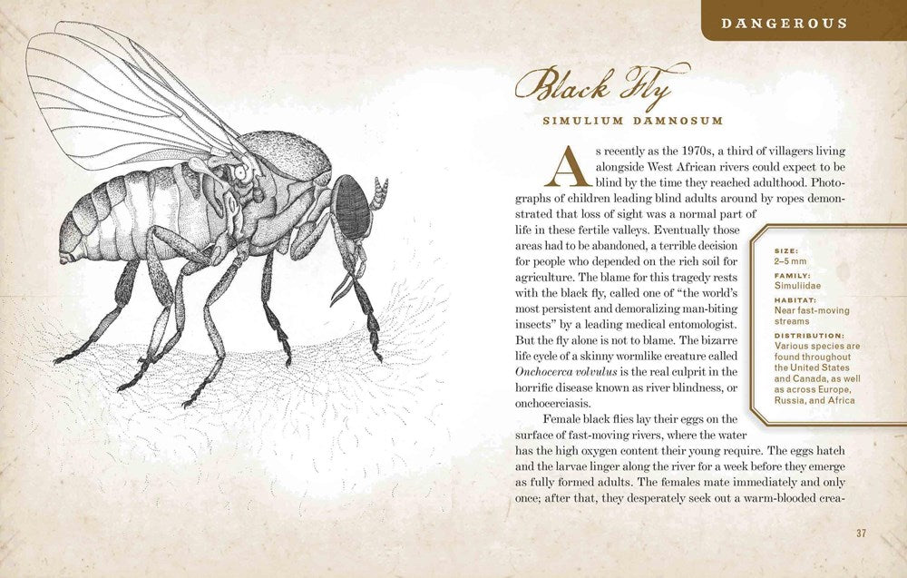 Wicked Bugs