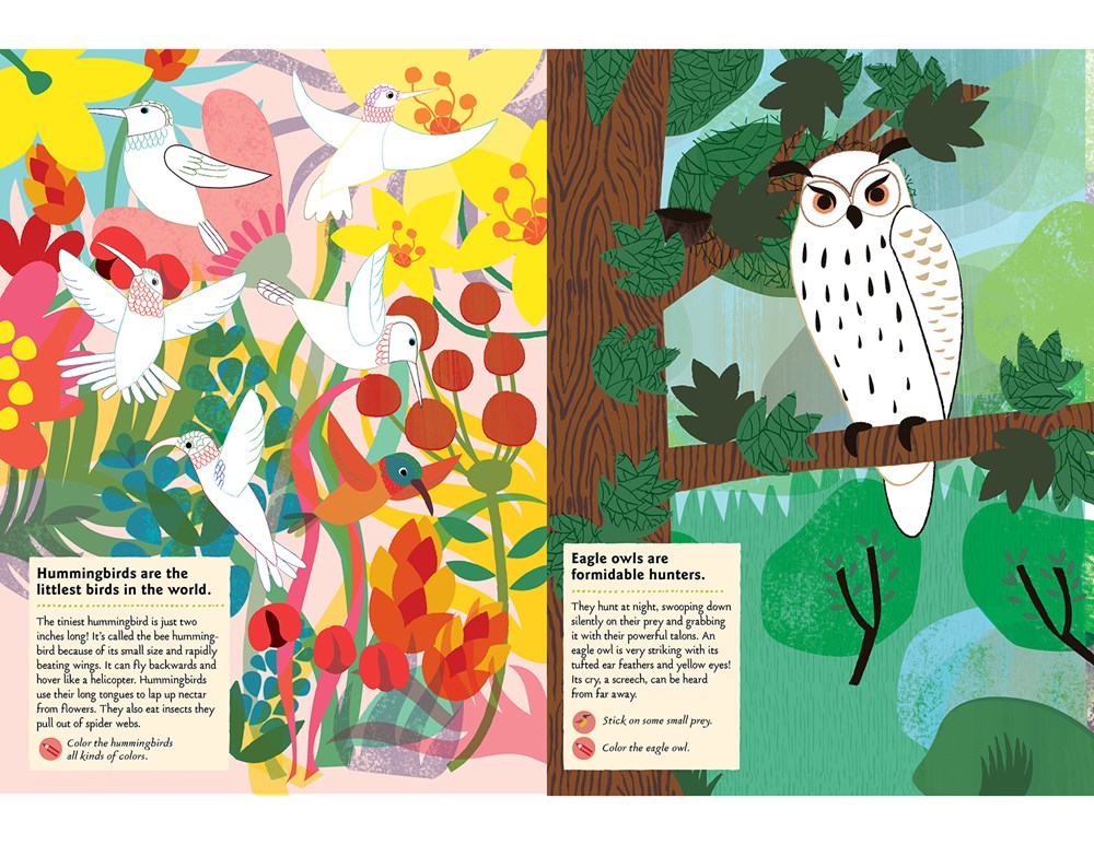 Birds of the World: A Sticker Activity Book
