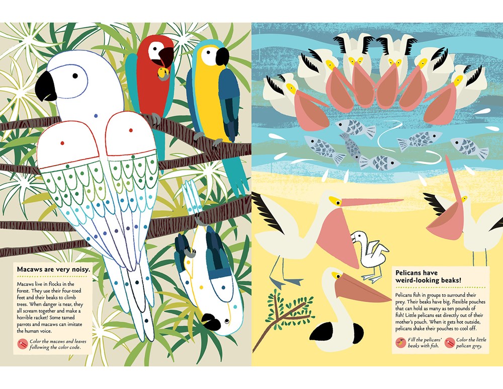 Birds of the World: A Sticker Activity Book