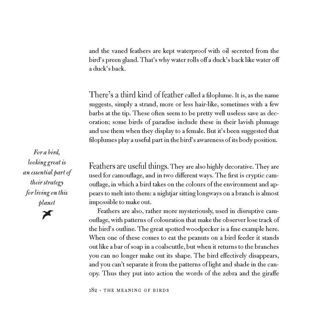 Meaning of Birds by Simon Barnes