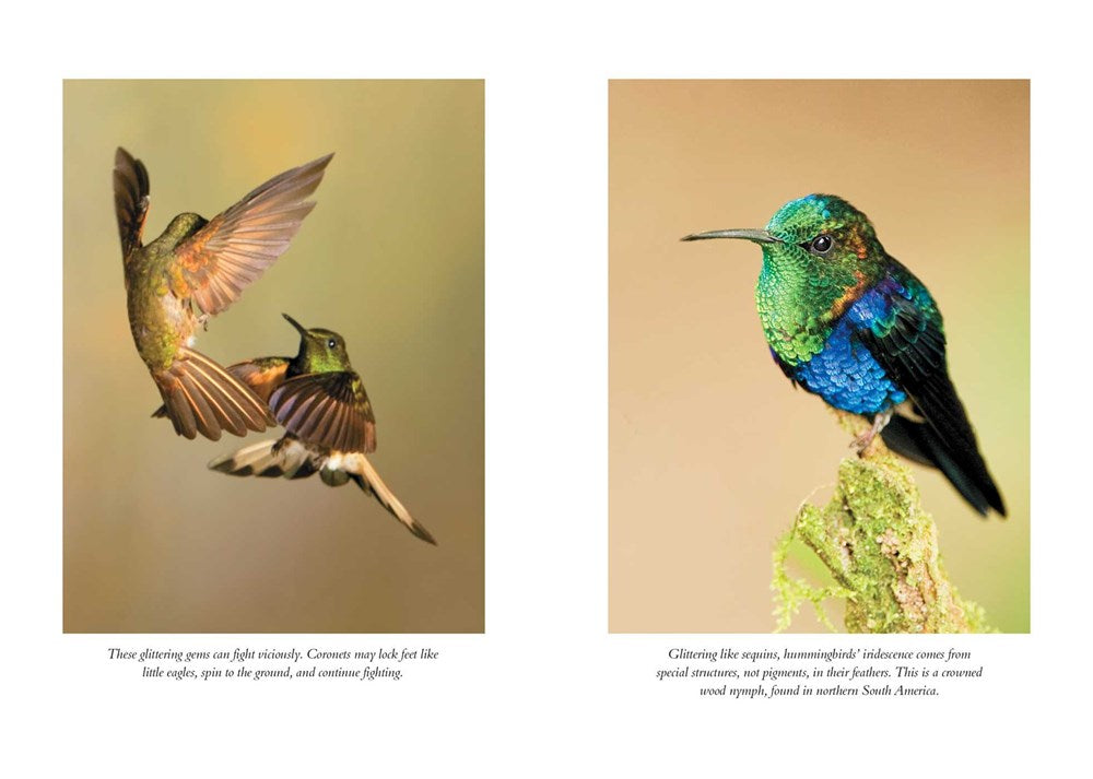 Hummingbirds' Gift by Sy Montgomery