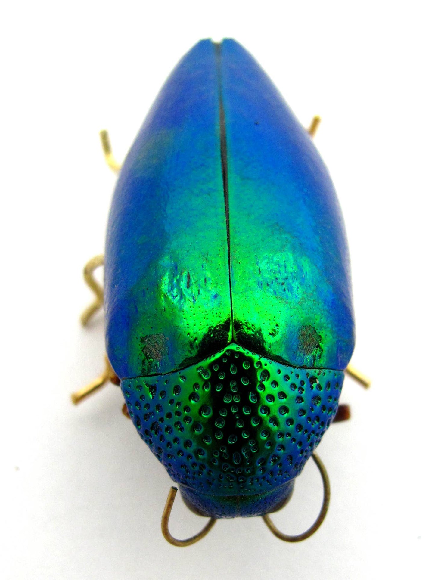 Real Emerald Beetle Pin