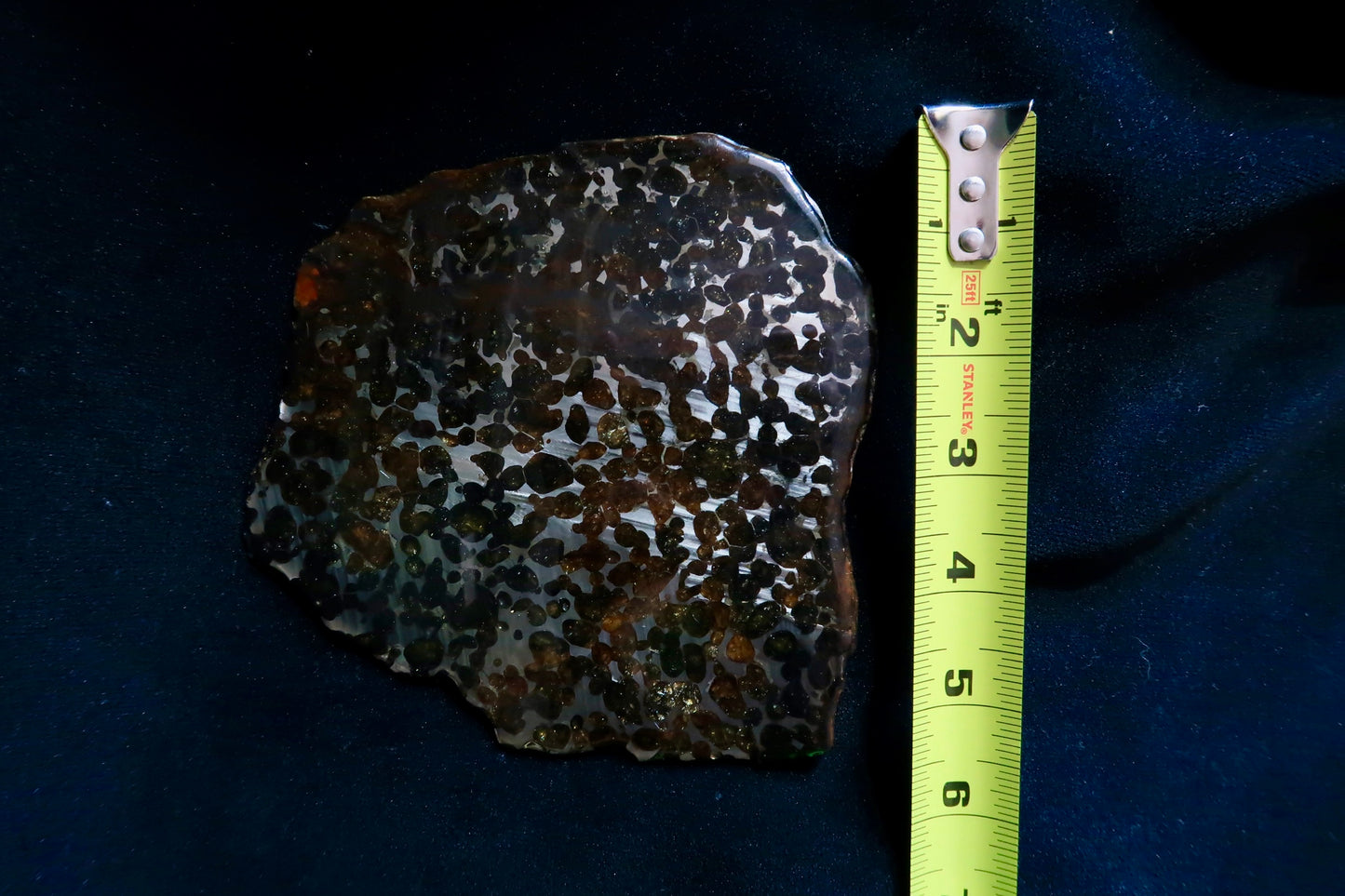 Sericho Pallasite Meteorite Slice