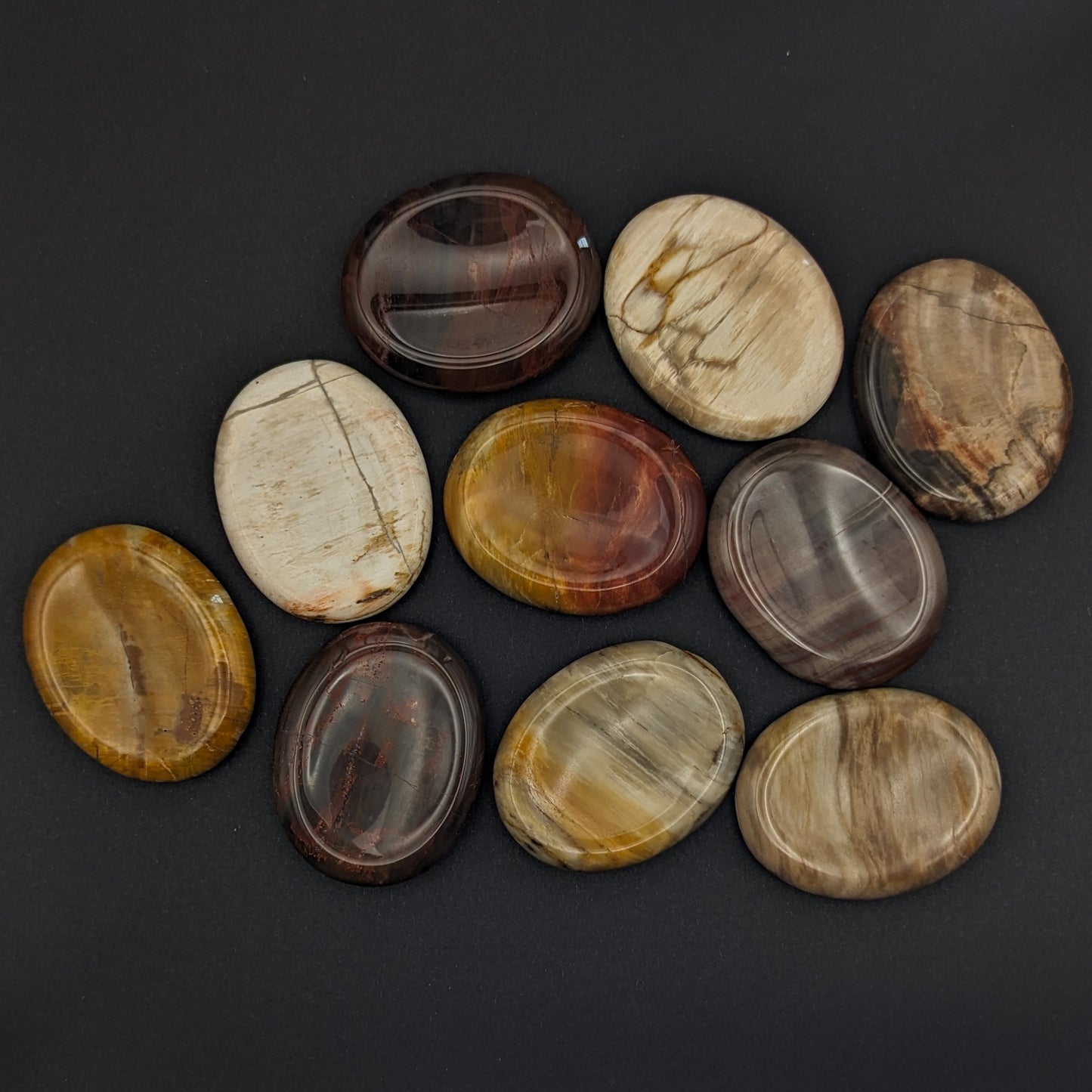 Petrified Wood Worry Stones