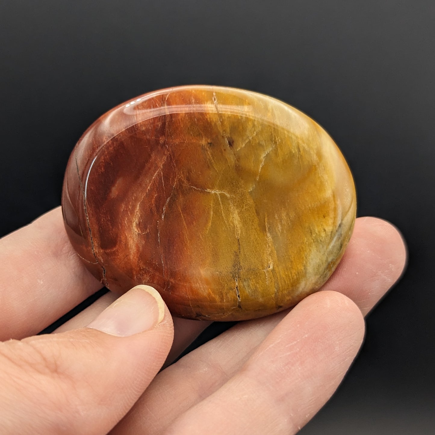 Petrified Wood Worry Stones