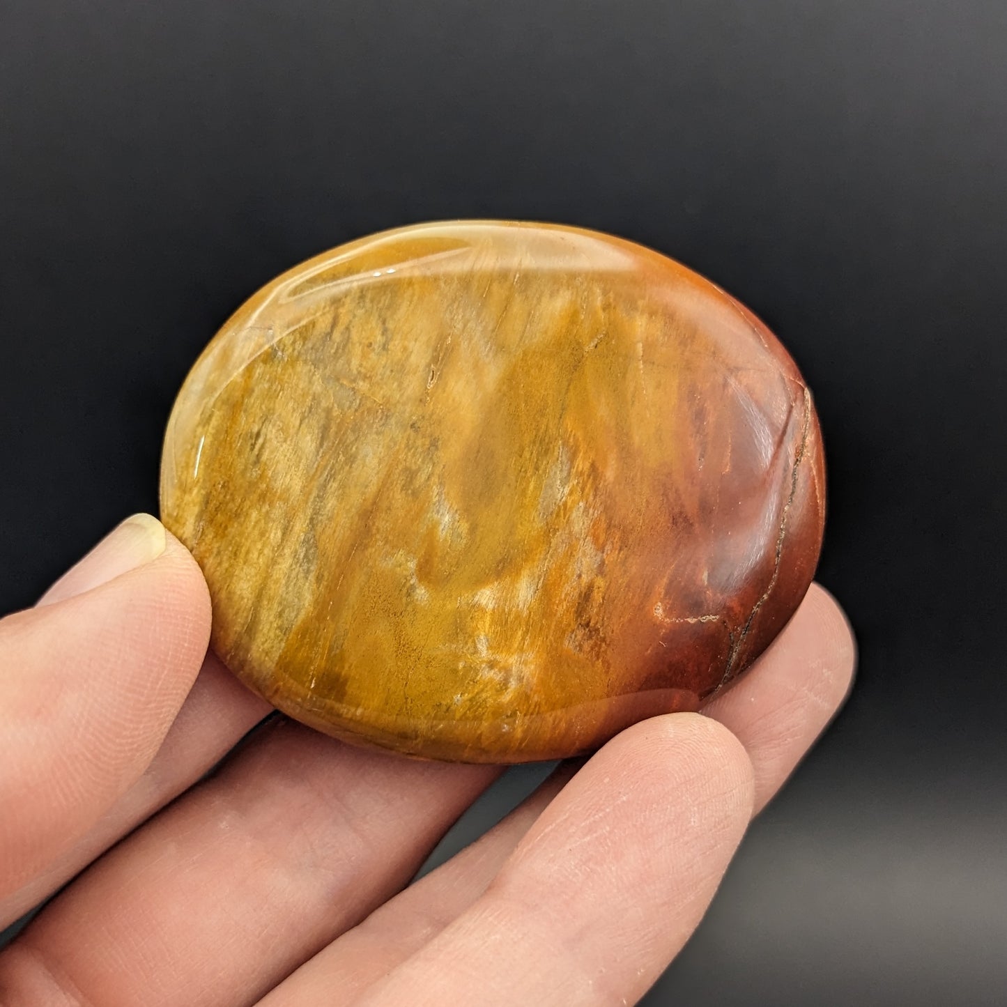 Petrified Wood Worry Stones