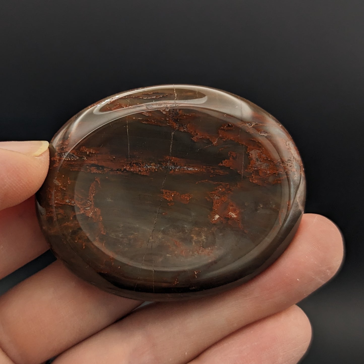Petrified Wood Worry Stones