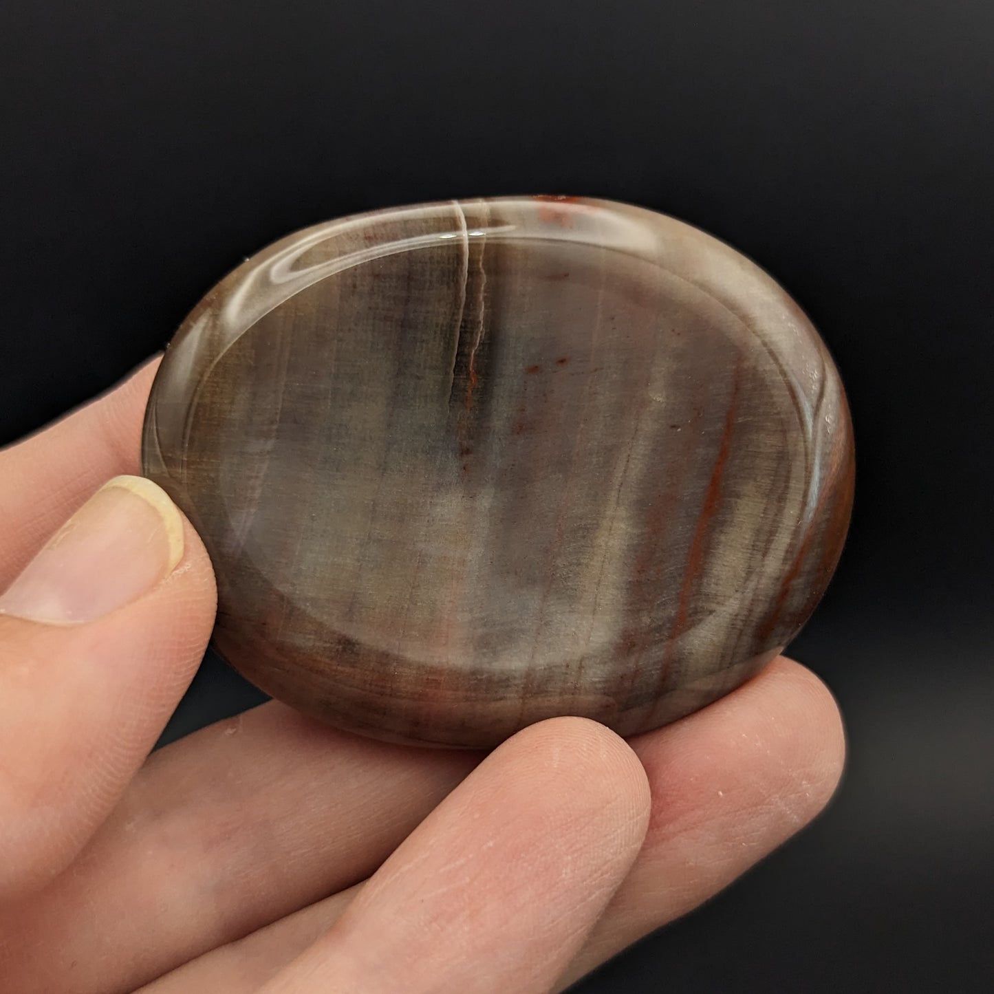 Petrified Wood Worry Stones