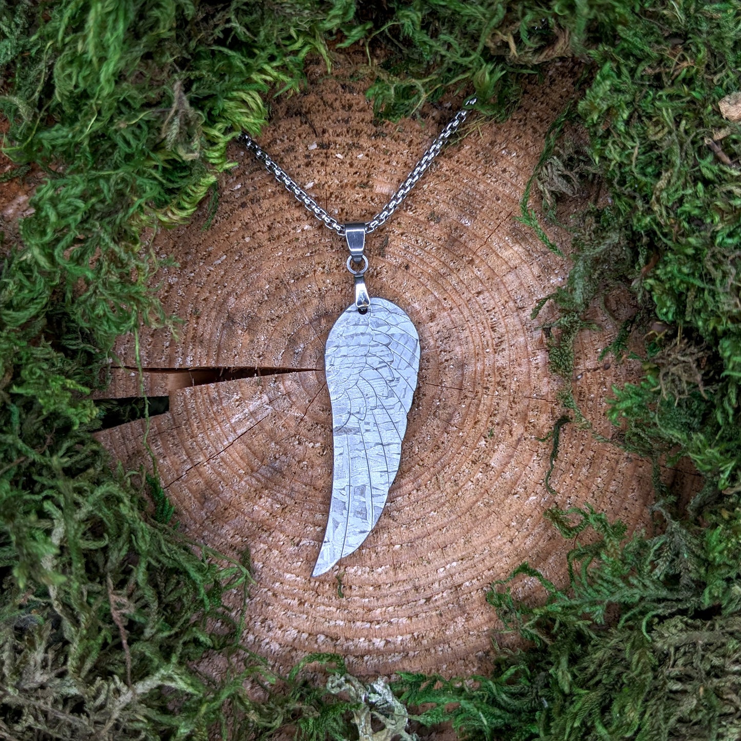 Meteorite pendant, Wing