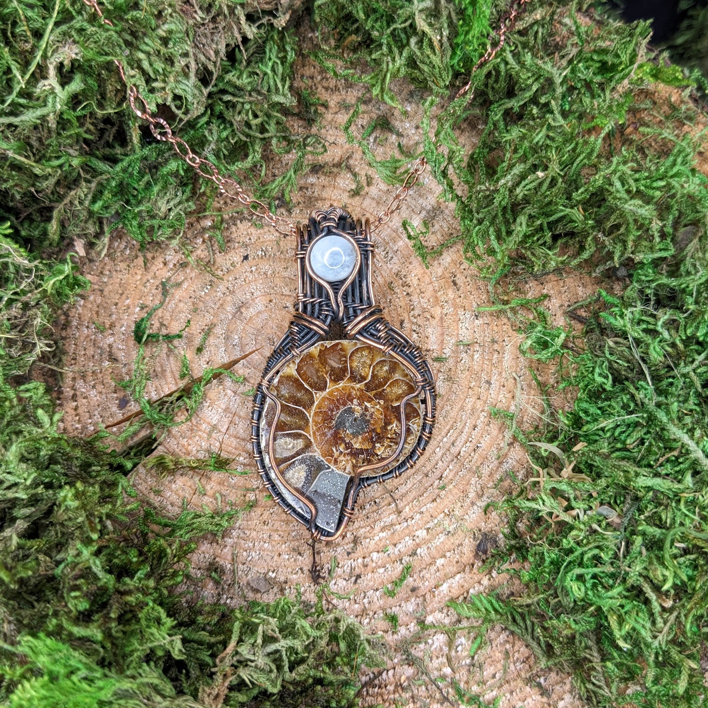 Wire-wrapped Ammonite Pendant