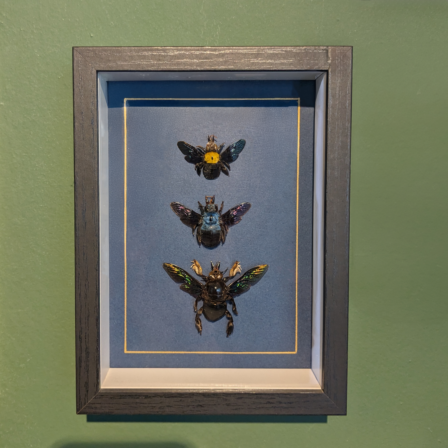 Bees in the Bonnet (Real Bees in Frame)