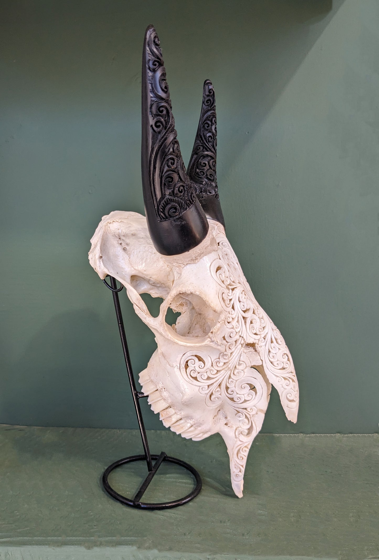 Hand-carved Goat Skull with Horn Carving