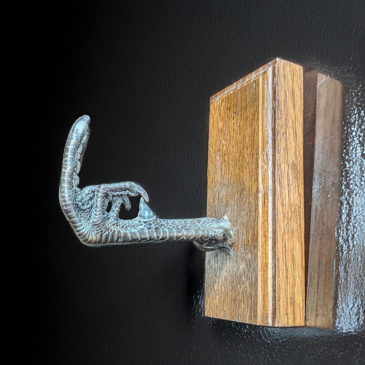 Middle Finger Pheasant Foot